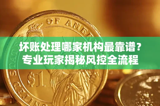 武汉坏账处理哪家机构最靠谱？专业玩家揭秘风控全流程