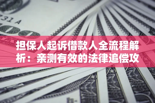 武汉担保人起诉借款人全流程解析：亲测有效的法律追偿攻略