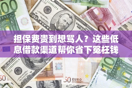 武汉担保费贵到想骂人？这些低息借款渠道帮你省下冤枉钱