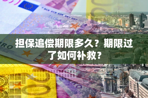 武汉担保追偿期限多久？期限过了如何补救？