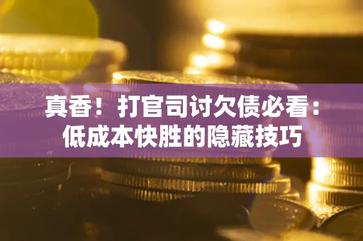 武汉真香！打官司讨欠债必看：低成本快胜的隐藏技巧