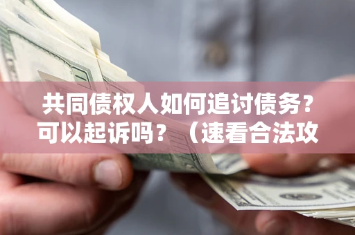 武汉共同债权人如何追讨债务？可以起诉吗？（速看合法攻略）