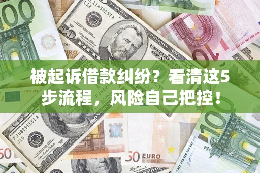 武汉被起诉借款纠纷？看清这5步流程，风险自己把控！