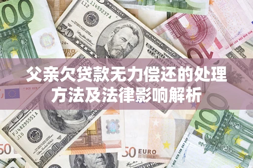 武汉父亲欠贷款无力偿还的处理方法及法律影响解析